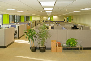 Used Office Dividers Charlotte NC